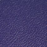 Purple Levant